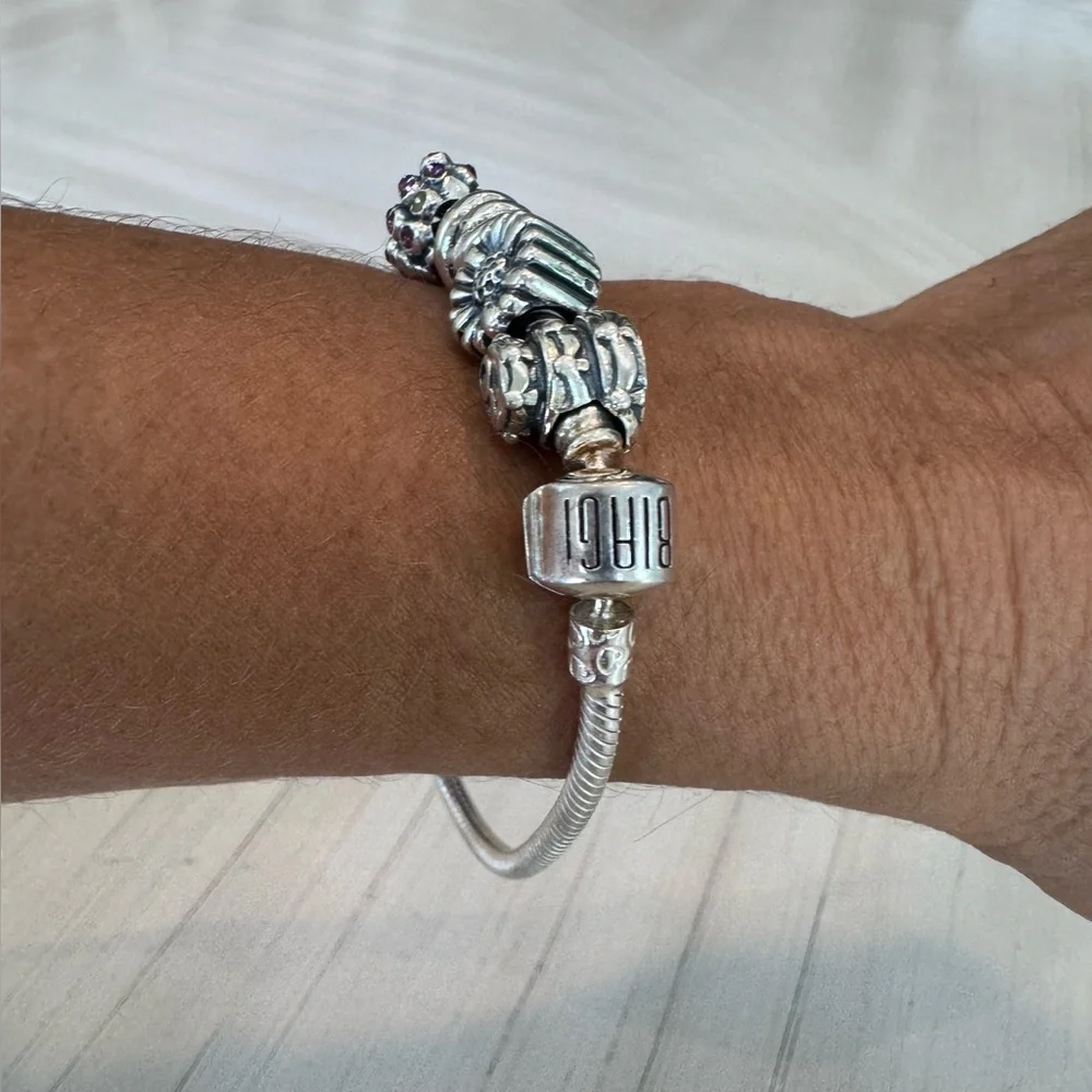 Biagi/Pandora 925 Sterling Silver Snake Bracelet with Vintage Charms - Picture 3 of 15